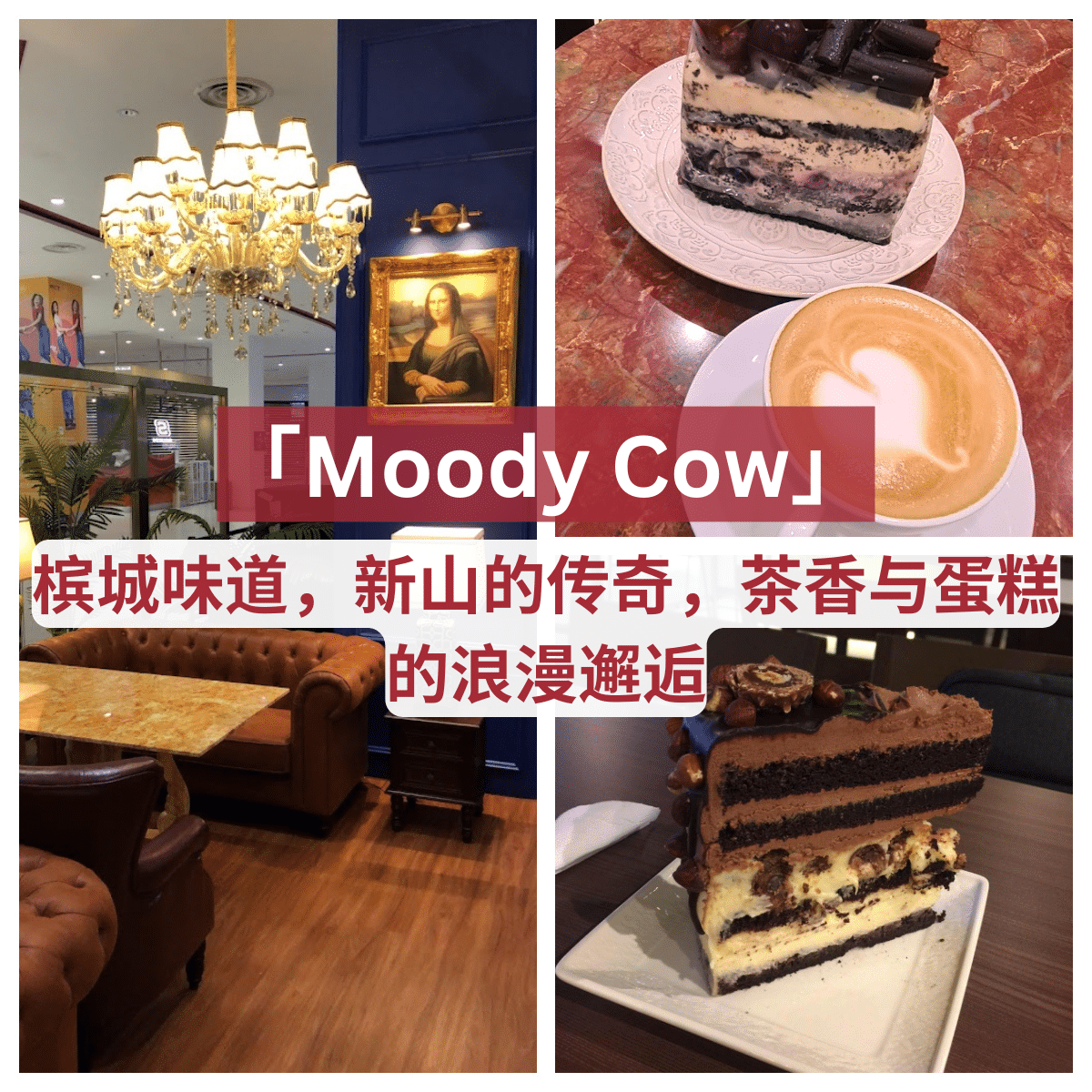 「 Moody Cow 」:品尝高品质蛋糕,享受亲民价格的奢华体验。