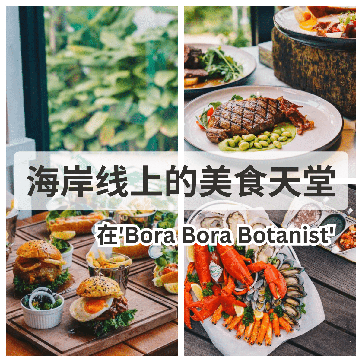 “在’ Bora Bora Botanist ‘体验豪华海景与美食的完美结合”